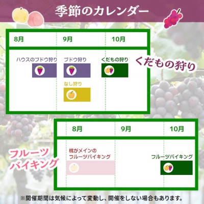 フルーツ 季節の果物狩り 収穫体験 選べる チケット 2名様分[NO5765-1533]