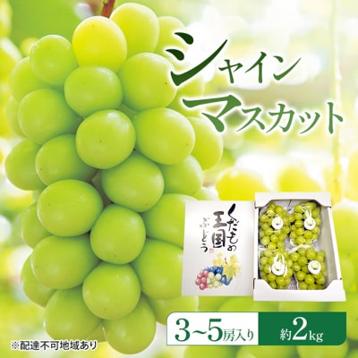 ぶどう 2026年 先行予約 シャインマスカット (3～5房) 約2kg [NO5765-1524]