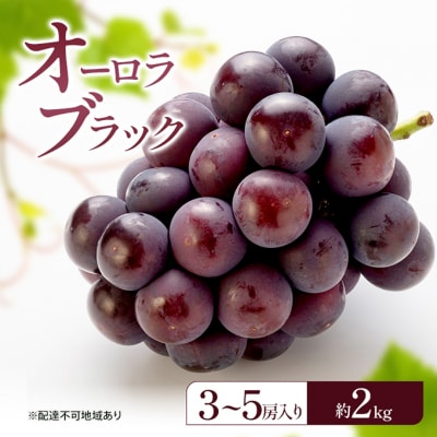 ぶどう 2026年 先行予約 オーロラブラック (3～5房) 約2kg [NO5765-1526]