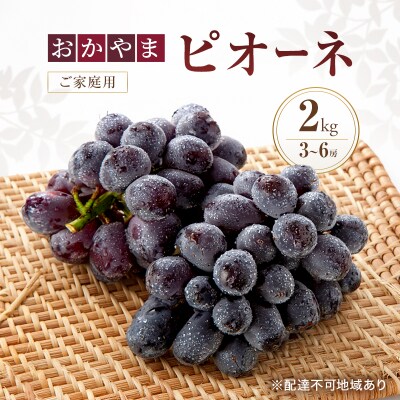 ぶどう 訳あり おかやま ピオーネ 2kg箱 3～6房 ご家庭用 規格外 [NO5765-1562]