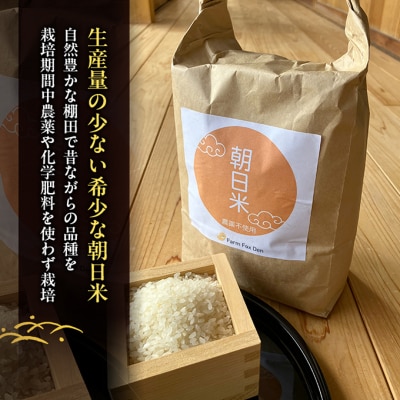 先行受付 農薬不使用 ホタル舞う里山の棚田米 朝日 精米10kg令和8年産[NO5765-1571]