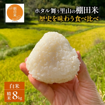 先行受付 伝統稲と現代稲食べ比べ 朝日4kg にじのきらめき4kg[NO5765-1572]