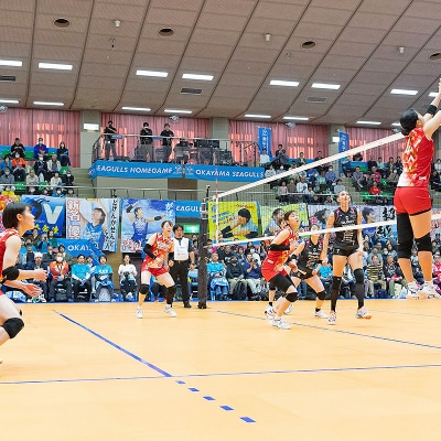 【2026年11月15日(日)】 バレーボール選手とハイタッチ &集合写真[NO5765-1576]