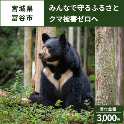 【返礼品なし】クマによる人身被害等の発生防止へ ～熊出没防止対策・環境整備へのご支援を～3,000円
