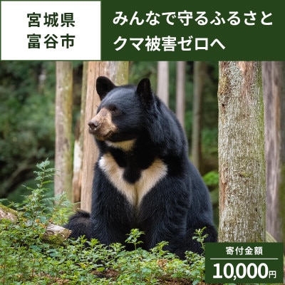 【返礼品なし】クマによる人身被害等の発生防止へ～熊出没防止対策・環境整備へのご支援を～10,000円