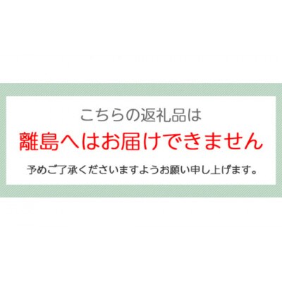 ショコラリング10個入(4月～10月発送)