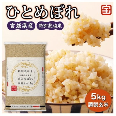 令和7年産 特別栽培米 宮城県産 ひとめぼれ 調製玄米 5kg|2025年