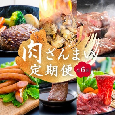 肉 ざんまい 定期便 全6回 6か月 牛肉 焼肉 ステーキ スライス 鶏肉 ウインナー ハンバーグ