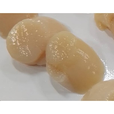 北海道オホーツク海　枝幸産ほたて(ご家庭用)　1.5kg