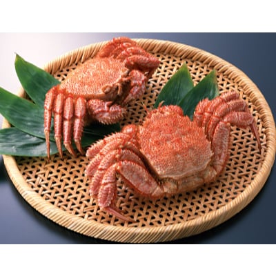 オホーツク枝幸町毛ガニ 約450g×2尾