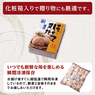 特鮮!枝幸ほたて(大粒)冷凍貝柱1kg(S～2Sサイズ)