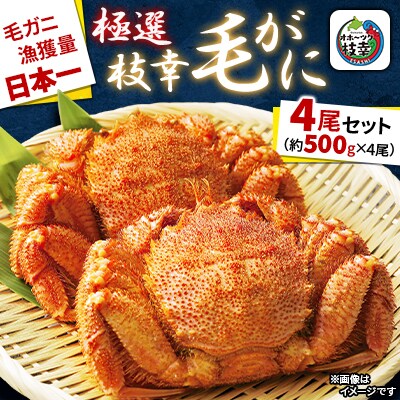 漁獲量日本一 枝幸毛がに 4尾セット(約500g×4尾) 北海道枝幸町産