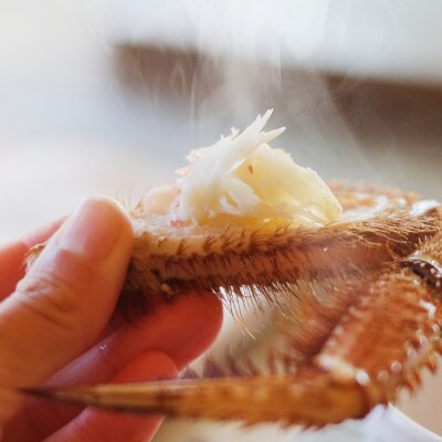 漁獲量日本一 枝幸毛がに 4尾セット(約500g×4尾) 北海道枝幸町産