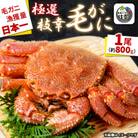 漁獲量日本一 枝幸毛がに 1尾(約800g) 北海道枝幸町産