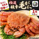 漁獲量日本一 枝幸毛がに 1尾(約1kg) 北海道枝幸町産