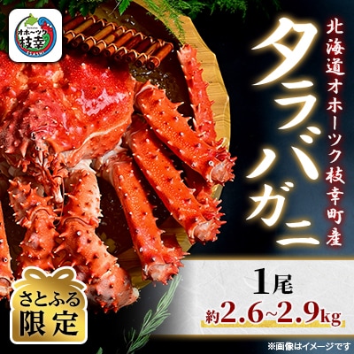 【さとふる限定】ボイル タラバガニ 姿 1尾 (約2.6kg～2.9kg) 北海道オホーツク枝幸町産