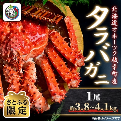 【さとふる限定】ボイル タラバガニ 姿 1尾 (約3.8kg~4.1kg) 北海道オホーツク枝幸町産