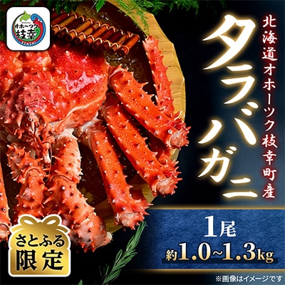 【さとふる限定】ボイル タラバガニ 姿 1尾 (約1.0kg～1.3kg) 北海道オホーツク枝幸町産