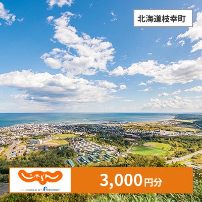 【じゃらんふるさと納税クーポン】 北海道枝幸町でつかえる3,000円 クーポン