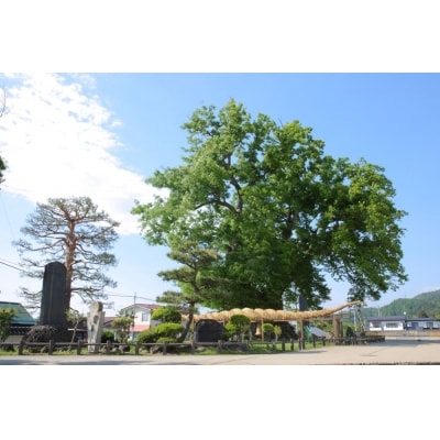 返礼品なしの寄付(1,000円)