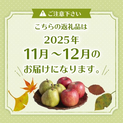 【2025年11月以降お届け】ラ・フランス&りんご　2回定期便 hi003-142-2