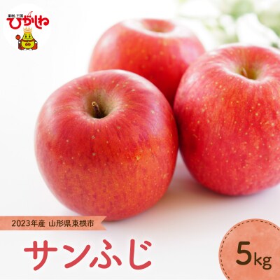 2023年産 りんご「サンふじ」5kg JA提供　P-2348