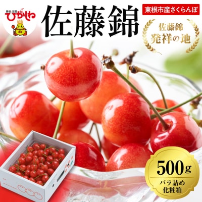 2026年 東根産さくらんぼ「佐藤錦」500gバラ詰め 秀品 Lサイズ hi027-221