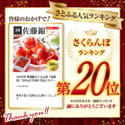 2026年 東根産さくらんぼ「佐藤錦」500gバラ詰め 秀品 Lサイズ hi027-221