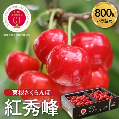 【2026年産 先行受付】GI 「東根さくらんぼ」紅秀峰 800g バラ詰め JA園芸部提供 東根市