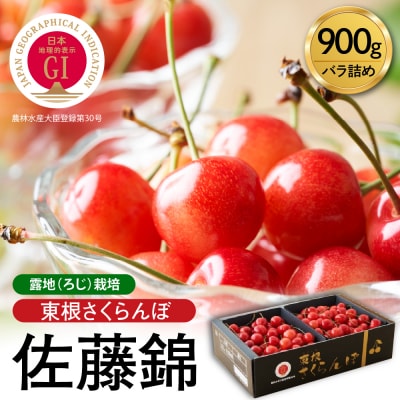 【2026年産 先行受付】GI 「東根さくらんぼ」佐藤錦 900g バラ詰め JA園芸部提供 山形県