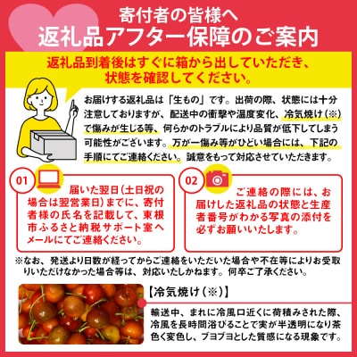 【2025年産 先行受付】GI 「東根さくらんぼ」佐藤錦 900g バラ詰め JA園芸部提供 山形県