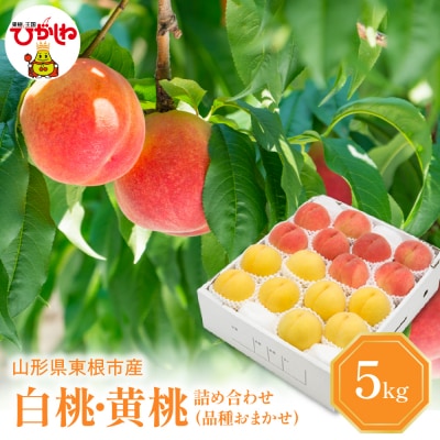 【2026年産】 白桃&黄桃 詰め合わせ(品種おまかせ)5kg 秀品 化粧箱入り hi027-265