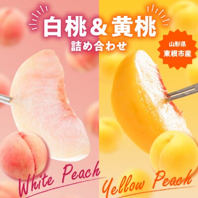 【2026年産】 白桃&黄桃 詰め合わせ(品種おまかせ)5kg 秀品 化粧箱入り hi027-265