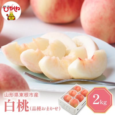 2025年産 白桃 (品種おまかせ) 2kg 東根農産センター 東根市 hi027-149-2