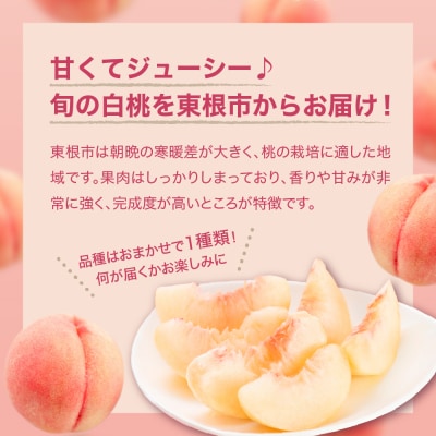【2026年産】 白桃 (品種おまかせ) 2kg 秀品 化粧箱入り hi027-257