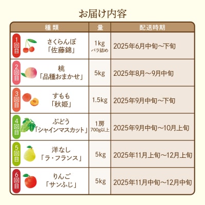 【2025年先行受付 6回 定期便】果樹王国を堪能コース 山形県 東根市