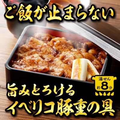 【かんたん本格調理】旨みがとろけるイベリコ豚重の具 105g×13袋セット hi010-007