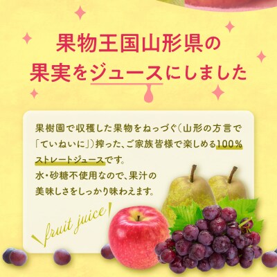 ねっづぐすぼた100%ジュースセット 滝口観光果樹園提供 hi030-050