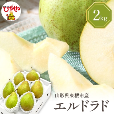 【令和7年産 先行受付】 エルドラド 2kg 山形県 東根農産センター提供　hi027-198-2