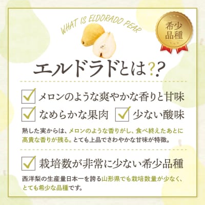 【令和7年産 先行受付】 エルドラド 2kg 山形県 東根農産センター提供　hi027-198-2