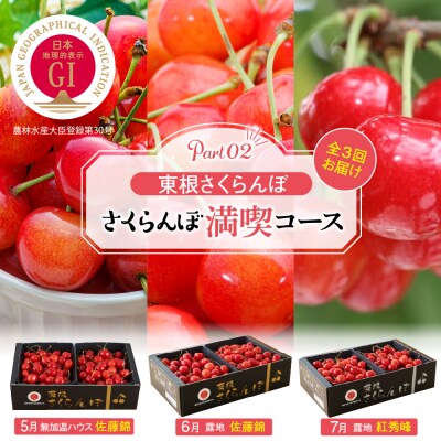 【2026年産 先行受付】GI「東根さくらんぼ」さくらんぼ満喫コース Part2　hi001-043