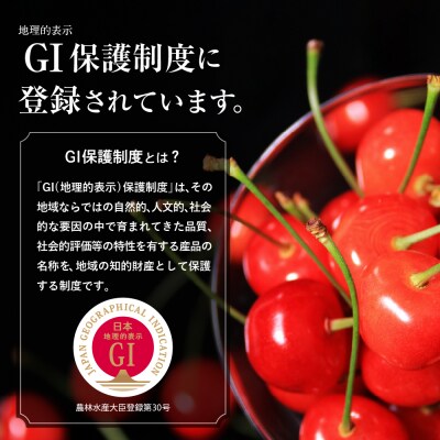 【2026年産 先行受付】GI「東根さくらんぼ」さくらんぼ満喫コース Part2　hi001-043