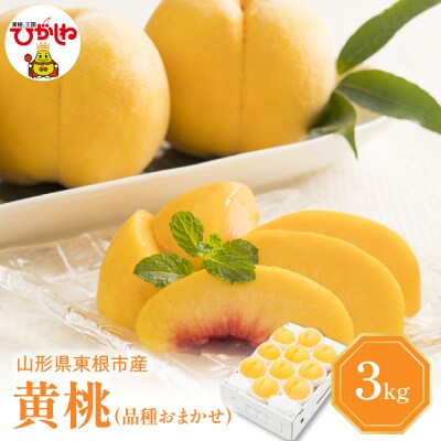 【2026年産】 黄桃 (品種おまかせ) 3kg 秀品 化粧箱入り hi027-261