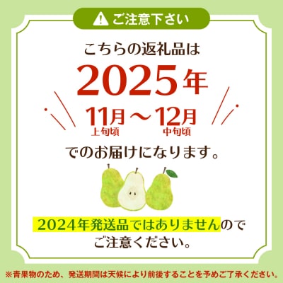 【2025年 先行受付】2025年産　西洋梨 ラ・フランス 約5kg (14～18玉入) 山形県