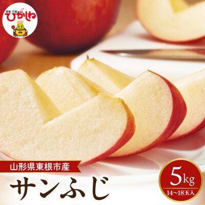 【2026年産】太陽の恵みをいっぱいに浴びたりんご「サンふじ」約5kg hi026-062