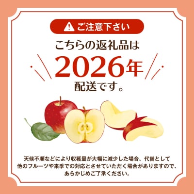 2026年産 太陽の恵みをいっぱいに浴びたりんご サンふじ約5kg(14～18玉)hi026-062