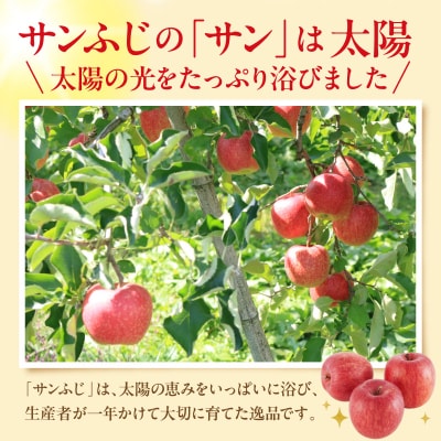 【2026年産】太陽の恵みをいっぱいに浴びたりんご「サンふじ」約5kg hi026-062