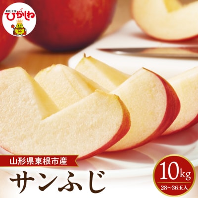 【2026年産】太陽の恵みをいっぱいに浴びたりんご「サンふじ」約10kg hi026-063