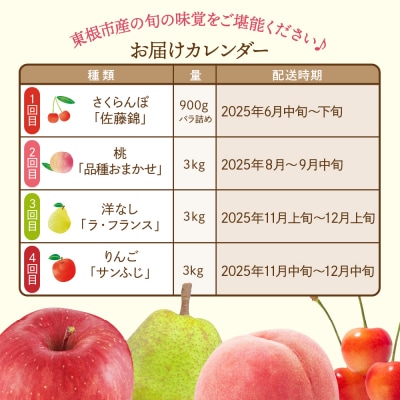 【2025年先行受付 4回 定期便】色々ちょっとずつ コース 山形県 東根市