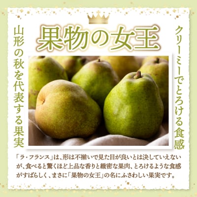 【2026年産】 西洋梨 ラフランス 2kg 秀品 化粧箱入り hi027-194-r8